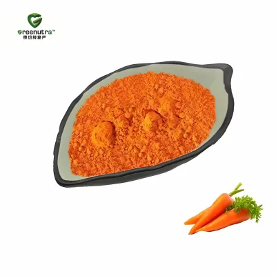 Carrot Extract 10:1 Powder Natural Vitamin a Source for Dietary Supplements and Functional Food Applications