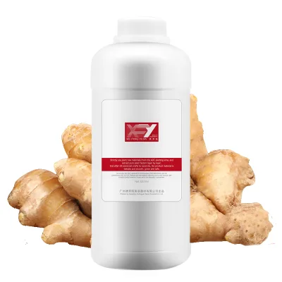 Natural Anti-Hair Loss Treatment Peppermint Hair Growth Shampoo and Conditioner Therapy With Ginger