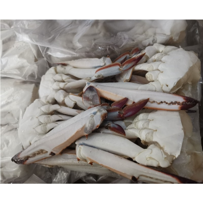 Frozen Half Cut Swimming Crab