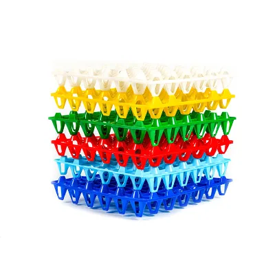 Chicken Eggs Cheap Clear Egg Plastic Packaging Tray