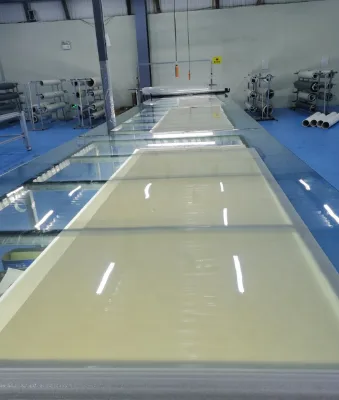 Customized Size Smart Film for Glass /Switchable Glass Electrochromic