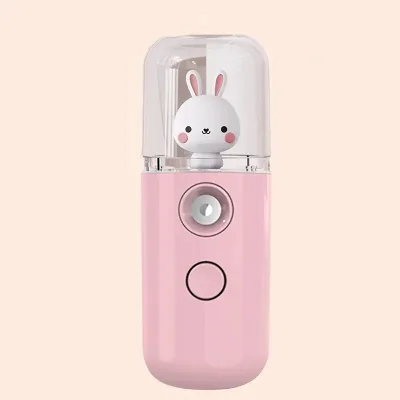 Wholesale OEM 30ml Portable Private Label Facial Steamer Handy Electric Fine Water Alcohol Nano Mist Sprayer