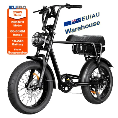 7Go EB2 Aluminum Alloy 20'' 48V 18.2AH 750W Fatbike Electric Bike Good Quality City Use