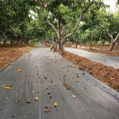 Ground Cover Net Black Color Ground Cover Net 100 Gram Ground Cover Net