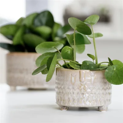 China Manufacturer Nordic Marble Ceramic Succulent Flowerpot Mini Potted Desk Straight Round Flower Pots