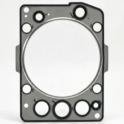 High Quality Cylinder Head Gasket A4600160720 for Axor / Actros 1996-2010