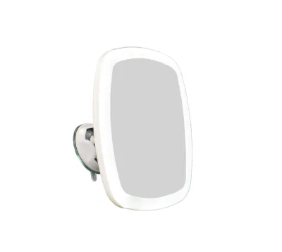 Wall-Mounted 10X 7X 5X Magnifying Makeup Bathroom Mirror Powerful Suction Cup LED Lights Personalized Cosmetic Mirror