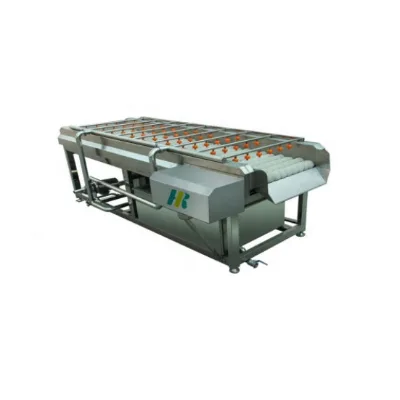 Micro Nano Cabbage Broccoli Lettuce Bubble Cleaning Machine