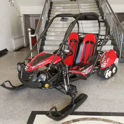 New Listing Electric Powerful 2 Seat 4 Stroke Go Cart Off Road Go Kart for Adults