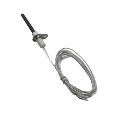 Efficient 100% Ignition Success Facial Igniter 12V/24V/120V/220V Gas & Manual Electric Silicon Nitride Stick Home Appliance Part