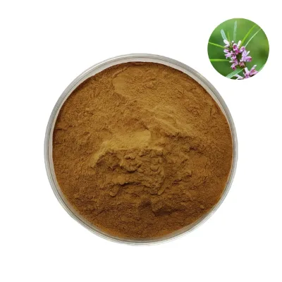 Factory Supply Leonurus Sibiricus Herb Extract Motherwort Extract High Quality