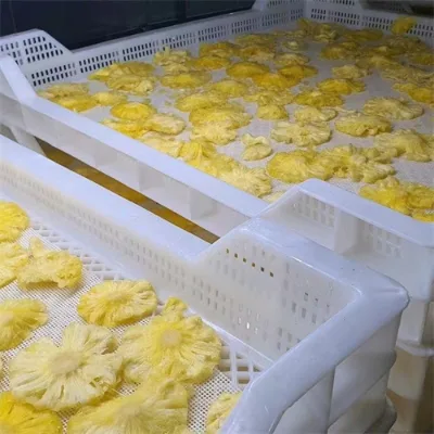 Plastic Fruit Drying Trays
