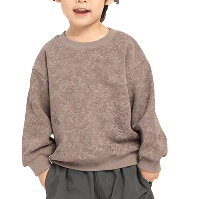 Spring and Autumn Customized Boys Sweatshirt in Small and Medium-sized Children Loose Casual Simple Versatile Fashion Pullover