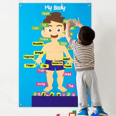 Modern Body Parts Learning Felt Story Board with Customizable Color