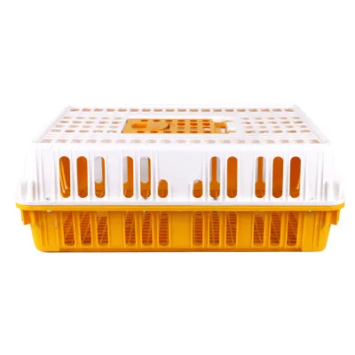 Factory Direct Sale Poultry Farm Equipment Plastic Chicken Transport Cag
