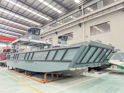 Allsealion Cargo Barge Vessel Ferry Ferry Barge Langding Craft Boat for Sale Indonesia