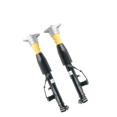 Rear Shock Absorber for Audi A6 C6 04-11 Models OE 4F0616031 4F0616032 OLIVER