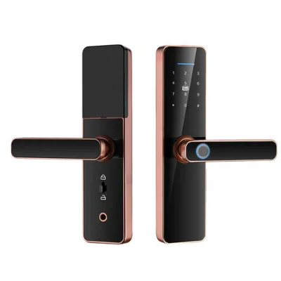 New style Best selling Fingerprint Door Lock Intelligent Wifi Smart Locks TTlock With Password Card Smart Digital Lock