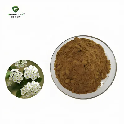 Spiraea Ulmaria Extract Meadowsweet 10 1 Concentrated Natural Herb Powder for Dietary Supplement Use