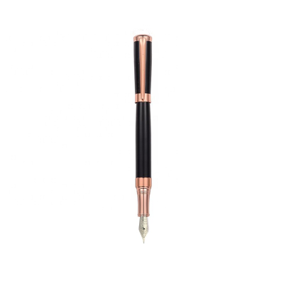Luxury Rose Gold Color Metal Fountain Pen Nibs Custom Logo Business Gift Fountain Pen Ink