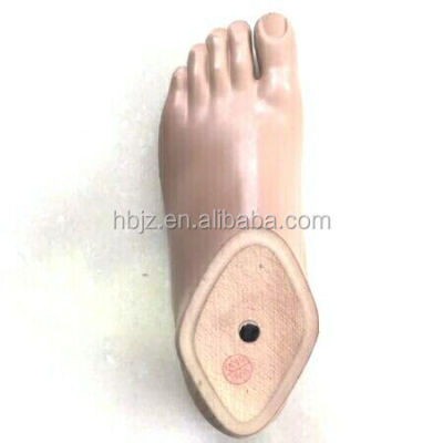 Sach Artificial Limb Foot Solid Ankle Foot (sach Foot)1S02