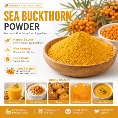 Sea Buckthorn Powder Food Grade Natural Colorant, Plant Based Pigment for Beverage Bakery Confectionery Sea Buckthorn Powder