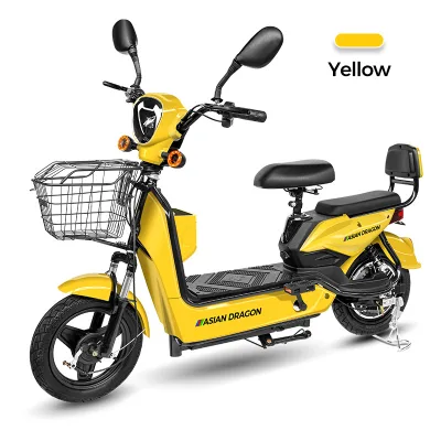 The National Standard Electric Vehicle for Commuting Is Exclusively for Students