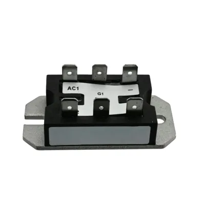 P102 P105 25A 600V 800V Hybrid Bridge Power Module Single Phase Rectifier Module P100 Series for Industrial Power Supply