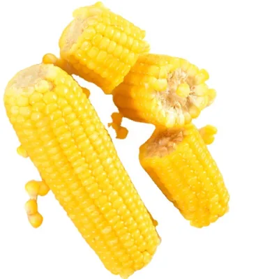 Top Quality Yellow Maize Corn Frozen Dried Super Sweet Cob Best Price