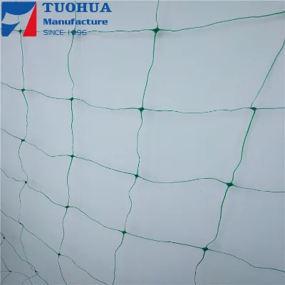 Green Plastic Netting Plant Support Climbing Net in Greenhouse