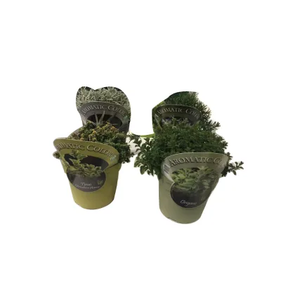 Horticulture Industry Perennial Plant Labels Locking Tags