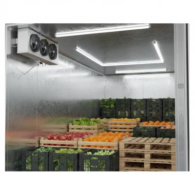 Walk-in Freezer Cold Storage with Engine & Motor Digital Control Customizable Dimensions Competitive Price