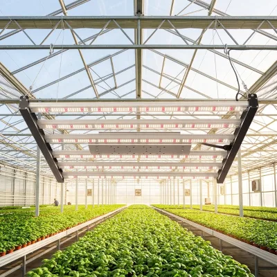 Spectrum Customizable LED Grow Light Module C Foldable 180° Design High Efficacy High PPE Ideal for Plant Factories