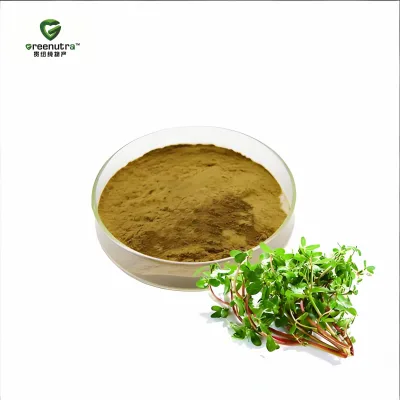 Bacopa Monnieri Herb Extract Powder 20% Bacosides Natural Plant Saponin for Dietary Supplements Food Grade