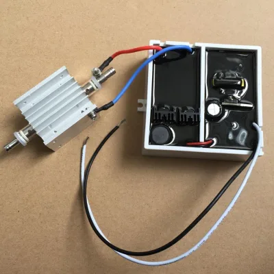 High Voltage Corona Discharge Ozone Electrode for Water & Air with 500mg/h Output 500L/Hour Productivity 1 Year Warranty