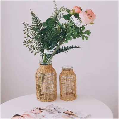 Modern Sustainable Transparent Glass Flower Vase for Hydroponic Arrangements Living Room Decor