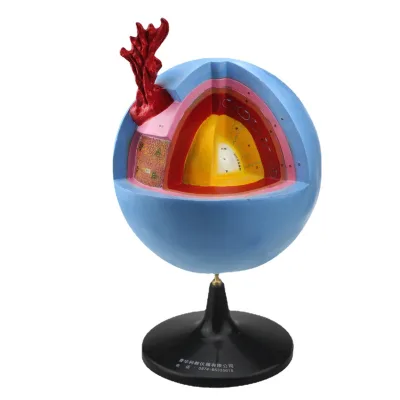 Gelsonlab HSGA-012 Sun Globe Model for Geography Lessons Detailed Section of the Sun Model