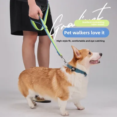 High-Appearance Dog Leash with Soft Double Handles Fabric Material Model U3004-Wholesale Available