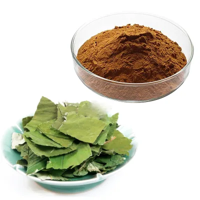 Lotus Leaf Extract