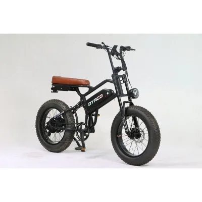 Lithium Battery 48V 500W FAT TIRE BICYCLE Mechanical DISC Brake Touring 20 INCH Electric BIKE