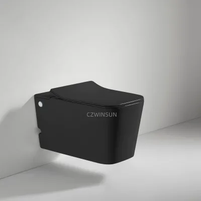 Pulse Wc Smart Toilets Ceramic Wall Hung Toilet Without Cistern