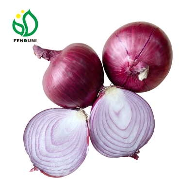2024 Red Onion Suppliers in China Onion Oignon Verduras Fresh Onion Price