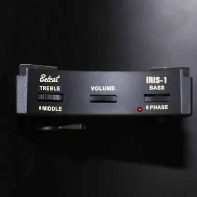 Iris 1 Folk Classical Acoustic Accessories 3 Band Eq Phase Sound Hole Tail Nail Guitar Soundhole Pickup