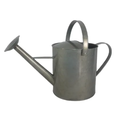Competitive Price Farmhouse Economic 2.3 Gallon Galvanized Tin Garden Pots Plant Watering Can for Indoor Outdoor Plants