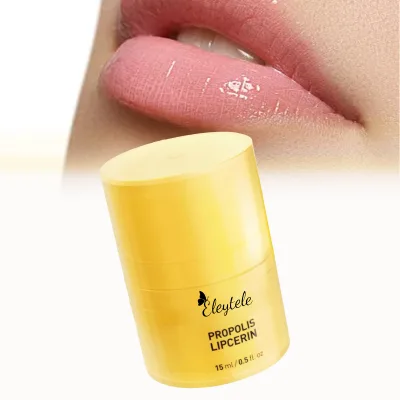 Private Label Custom Logo Natural Honey Lip Balm Mint Flavor Eco Friendly Chapstick Shea Butter Accept Honey Lip Balm for Men