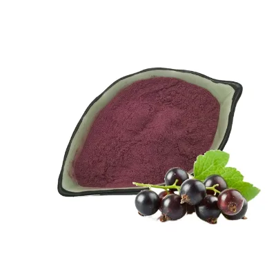 Pure Natural Currant Juice Powder, Black Currant Extract Powder,  Anthocyanins