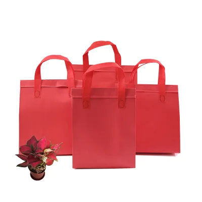 High Quality Hot Pressed Non Woven Cooler Bag Customized Printed Durable Portable for Sandwiches Salads Coffee Food Packaging
