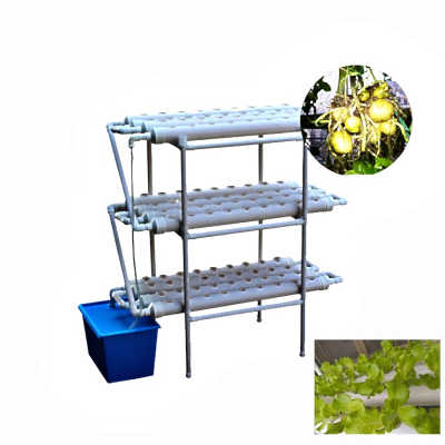 Hydroponic Herbs Hydroponics Grow System With Rails