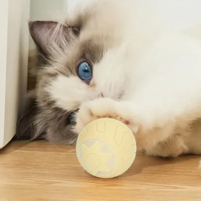 Pet Silicone Eco-Friendly Interactive Funny Cat Toys Resistant to Bites Automatic Rolling Ball