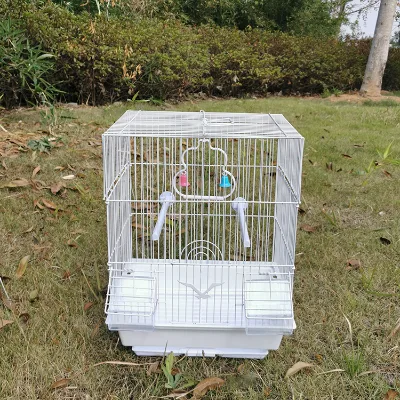 Hot Sale Hanging Ekia Bird Parrot Cage